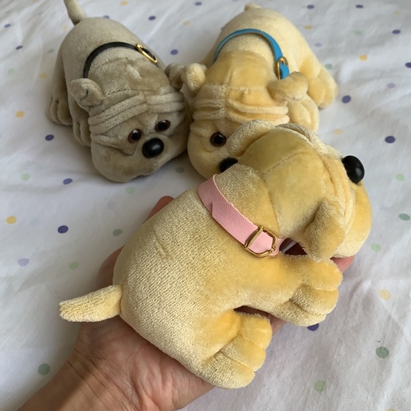 ❤️‍🔥 Two wrinkly faced puppies - Picture 4 of 8